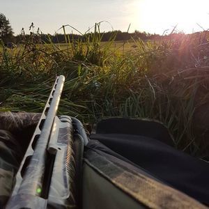 Meet your Posher, Wyatt